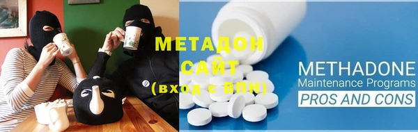 индика Надым