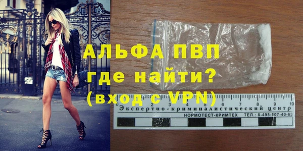 индика Надым