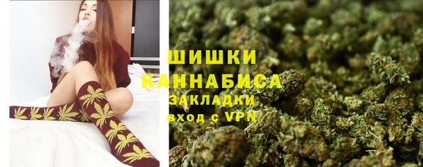 тгк Абаза