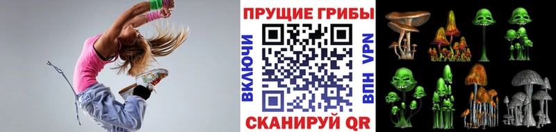 ОМГ ОМГ ссылки  Пудож  Псилоцибиновые грибы прущие грибы 